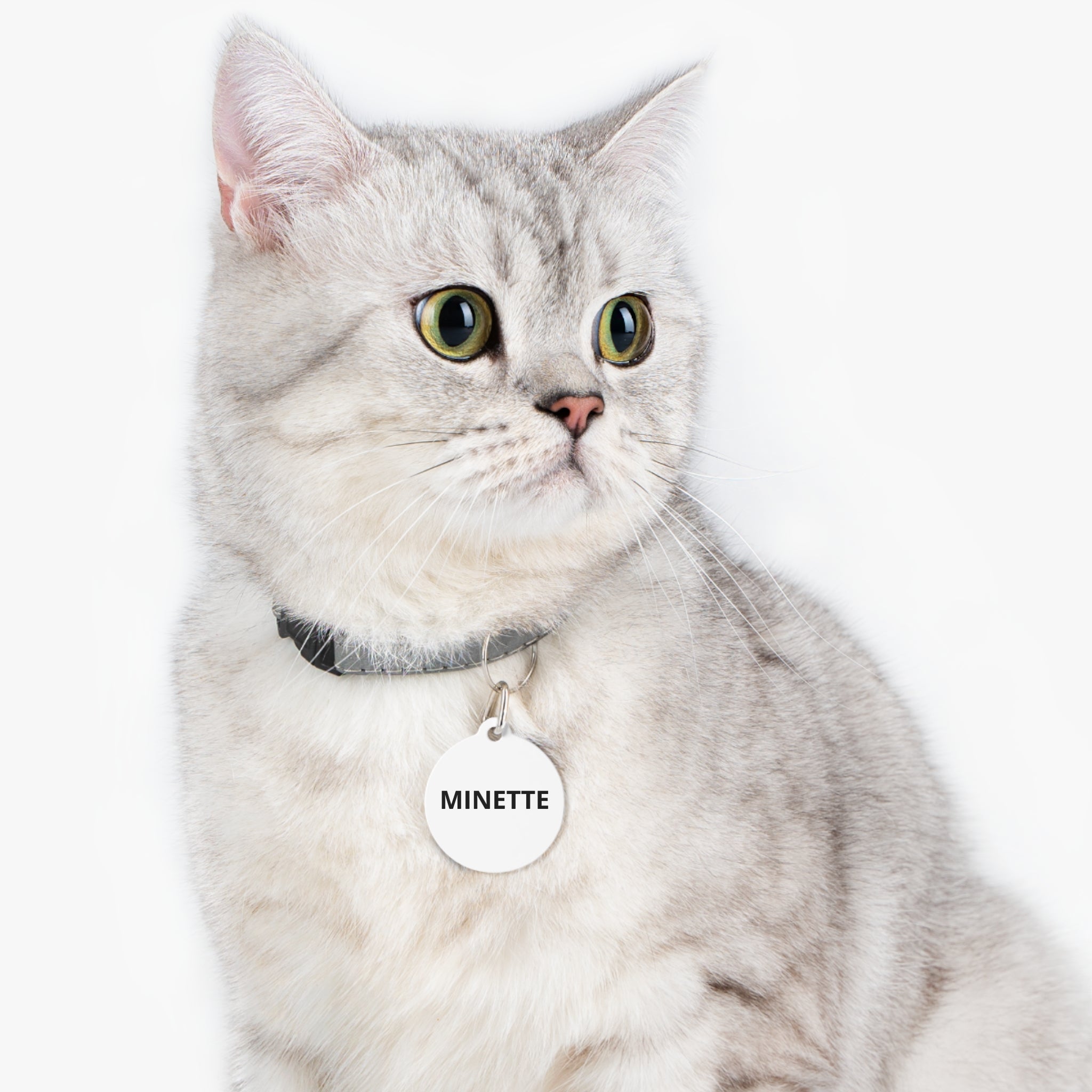Médaille Chat GRIFFÉ Gravée Personnalisable