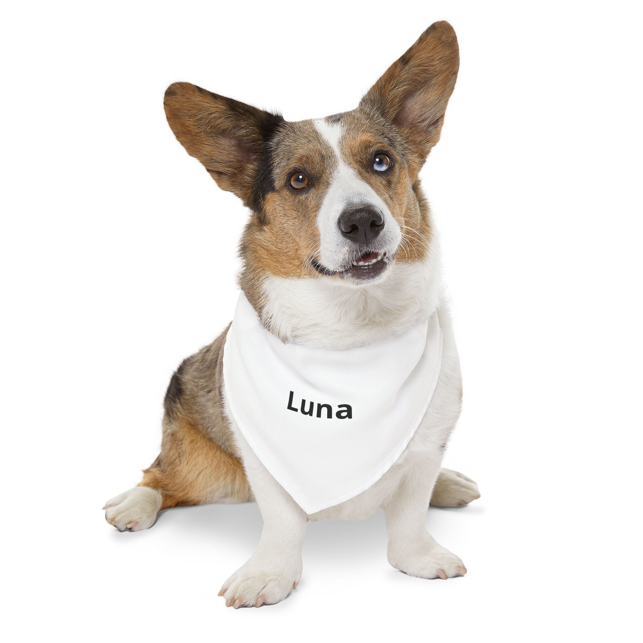 Bandana Chien GRIFFÉ Personnalisable avec Nom