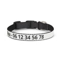 Collier Chien Nylon Personnalisé avec Nom et Numéro