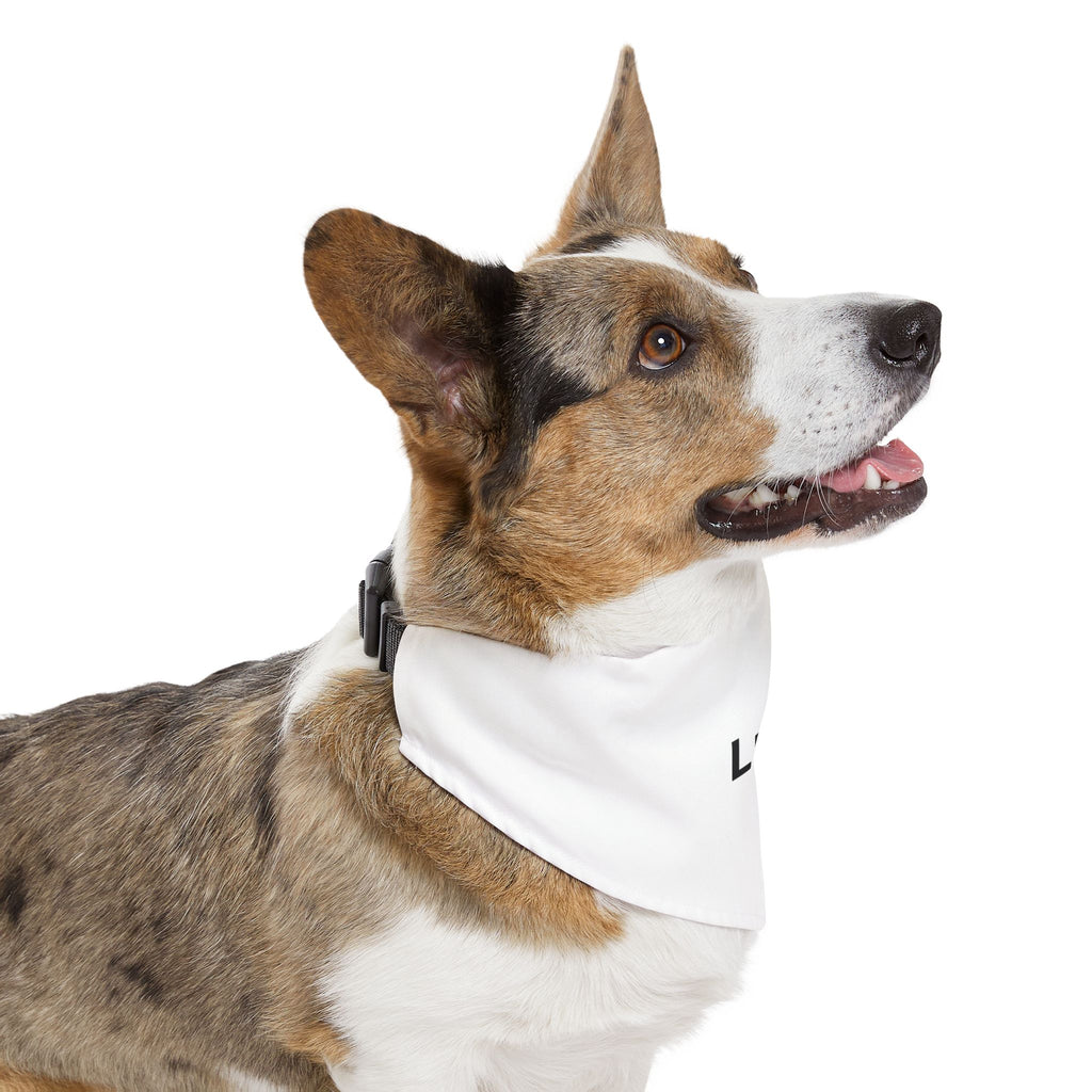 Bandana Chien GRIFFÉ Personnalisable avec Nom
