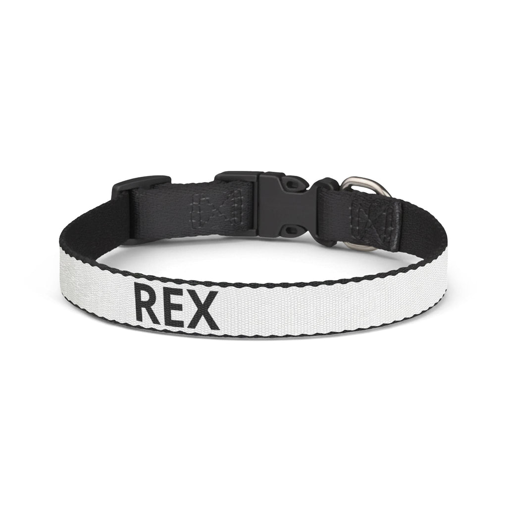 Collier Chien GRIFFÉ Personnalisable avec Nom