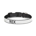 Collier Chien GRIFFÉ Personnalisable avec Nom