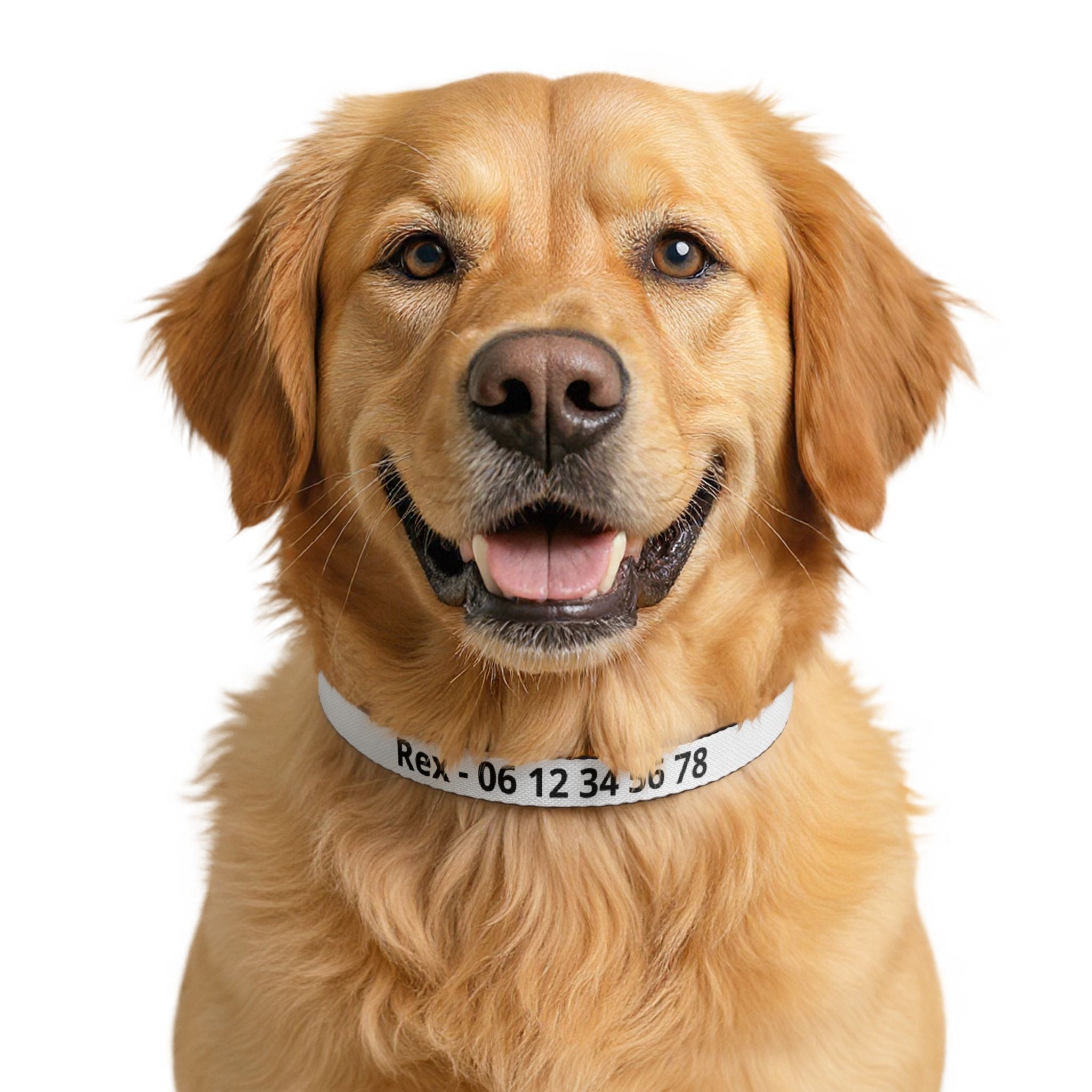 Collier Chien Nylon Personnalisé avec Nom et Numéro