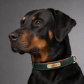 Collier Cuir Gravé Personnalisé pour Chien