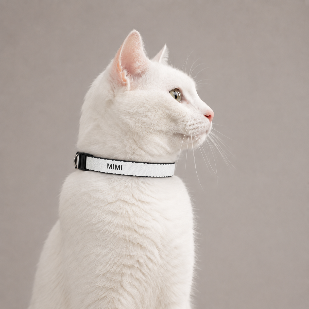 Collier Chat GRIFFÉ Personnalisable avec Nom