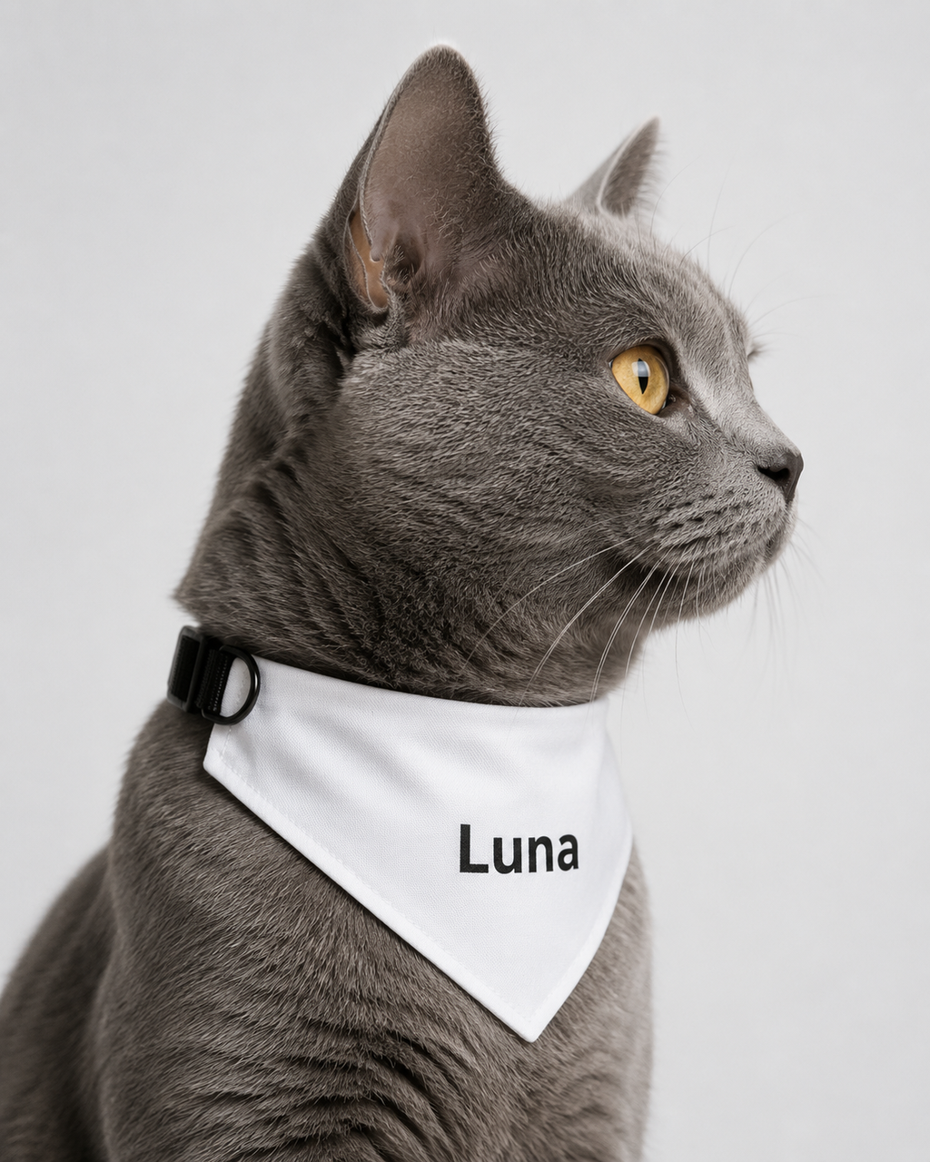 Bandana Chat GRIFFÉ Personnalisable avec Nom