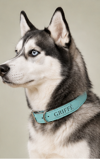 Collier Cuir Gravé Personnalisé pour Chien