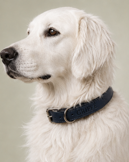 Collier Cuir Gravé Personnalisé pour Chien