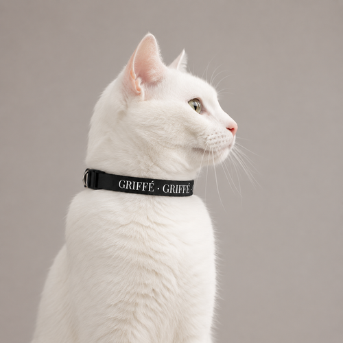 Collier Chat GRIFFÉ Personnalisable