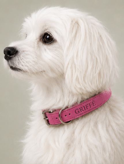 Collier Cuir Gravé Personnalisé pour Chien