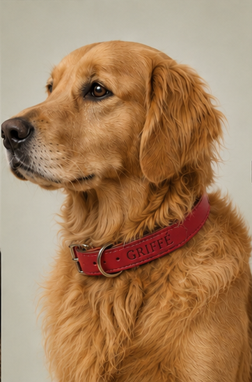 Collier Cuir Gravé Personnalisé pour Chien